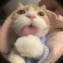 emoji_41