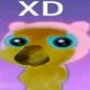xdm