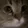 Meow