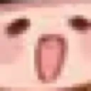 bnnuy