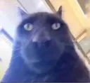 Screenshot_2023092523584176_776b