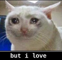 but_I_love Discord emoji