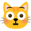 cat_flushed