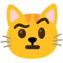 cat_raisedeyebrow