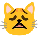 cat_weary