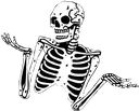 z_skeletonshrug