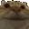 cat_noders