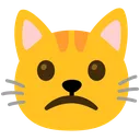 cat_slightfrown