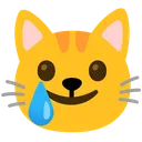 cat_smilingwithtear cat_smilingwithtear