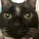 emoji_16 emoji_16