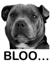 bloo Discord emoji