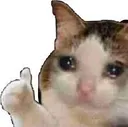 ok