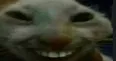 xdd