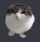 2035bouncycat