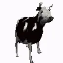 polish_cow polish_cow