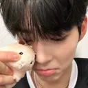 hamstercry