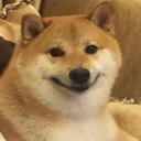 DogSmile