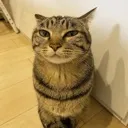 erm