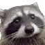 racplead