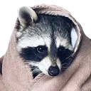 racblanketcozy2