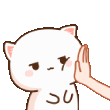 peachcat_FDB Discord emoji