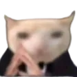 pspBusiness