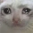 Despair Despair