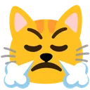 cat_triumph