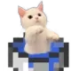5822catinbucket Discord Emoji