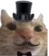 poshCat