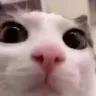 stare stare