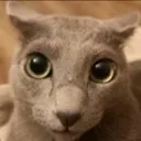 catdisgusted Discord Emoji