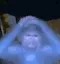 HPNOgif_cantbelieveit