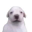 2fb4e18eacd8481531be15619296115e