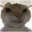 FIGURINHASQUEVOCPROCURA