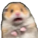 Scaredhampter Discord Emoji