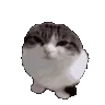 wawaslide
