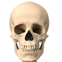 skull5