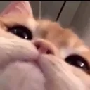 PeekFren2