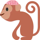 Brainkey