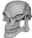 HDskullSamsung92
