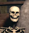 skull