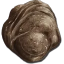 feces
