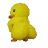 LookingDuckass1