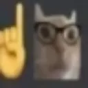 nerdcat