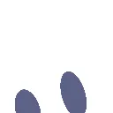 BunnPeek