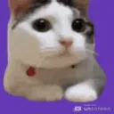 nonono