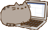 Cat Keyboard Discord Emoji
