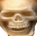 skull