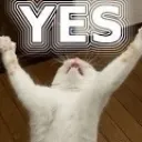 Cat Yes cat_yes Discord Emoji